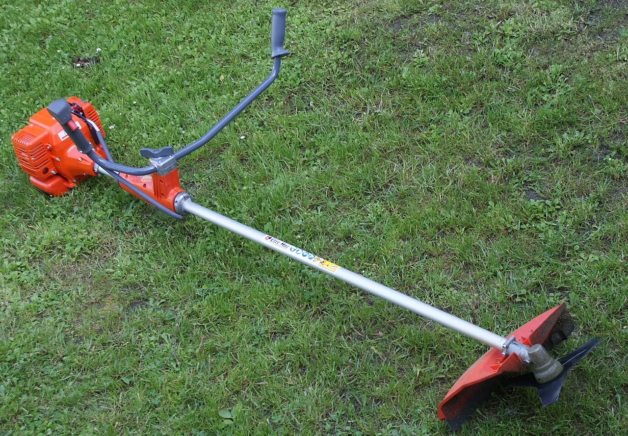 Grass cutter — Photo location not recorded