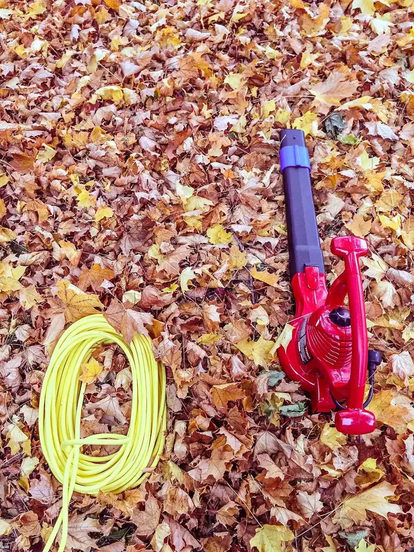 A red electric leaf blower and a coiled yellow extension cord lie on a bed of fallen autumn leaves.