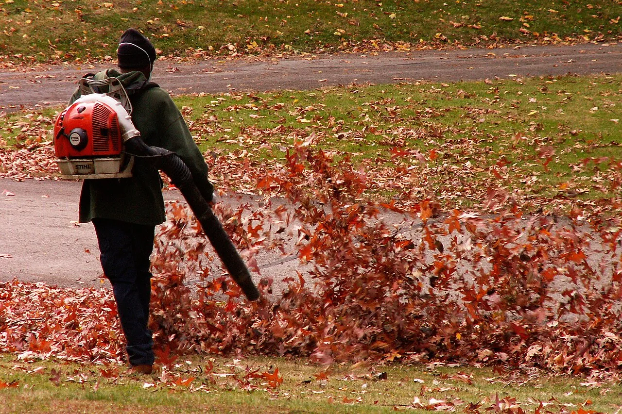 Leaf blower — Photo from the United States
