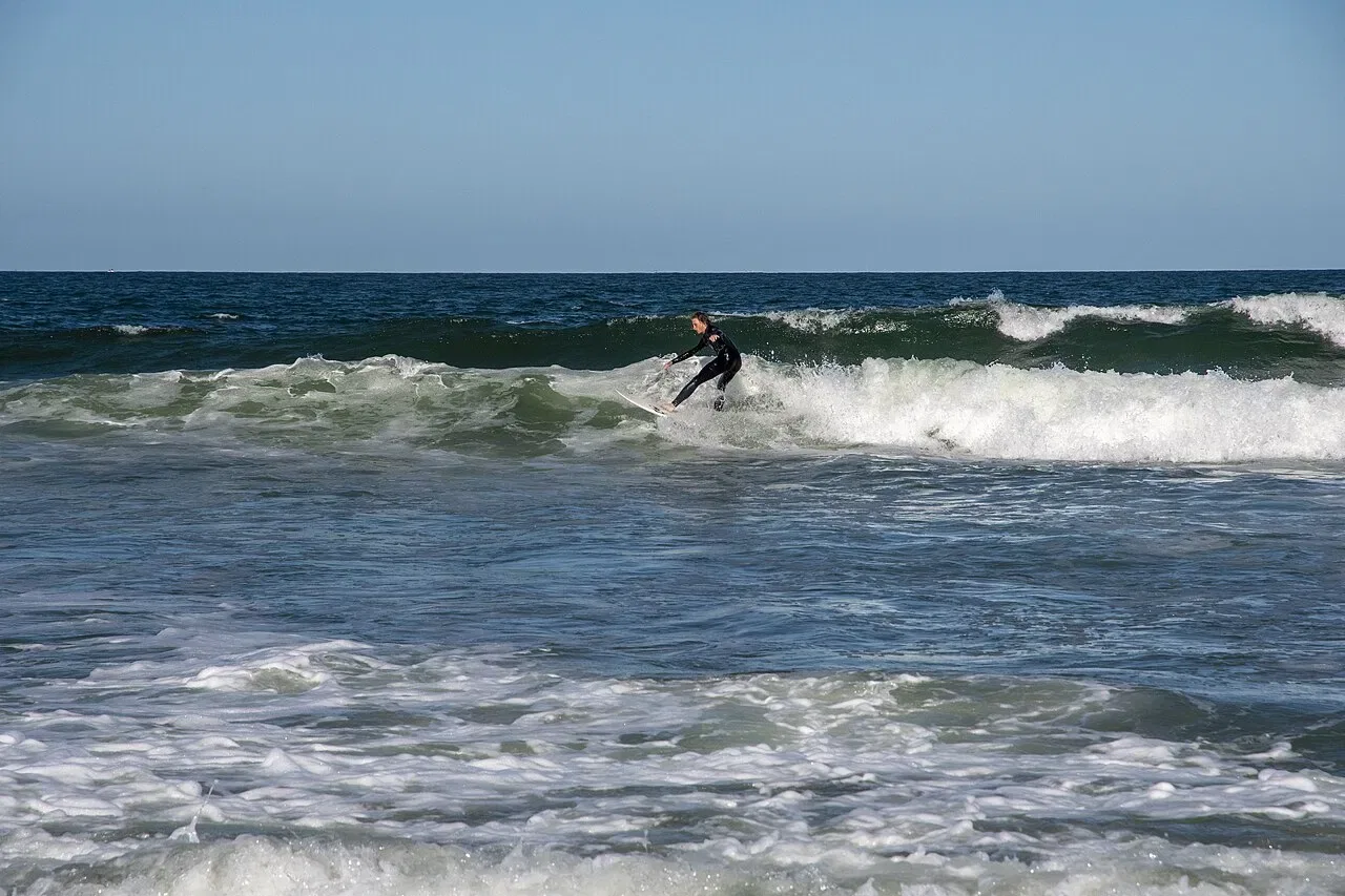A surfer in a black wetsuit rides a breaking wave in the ocean.