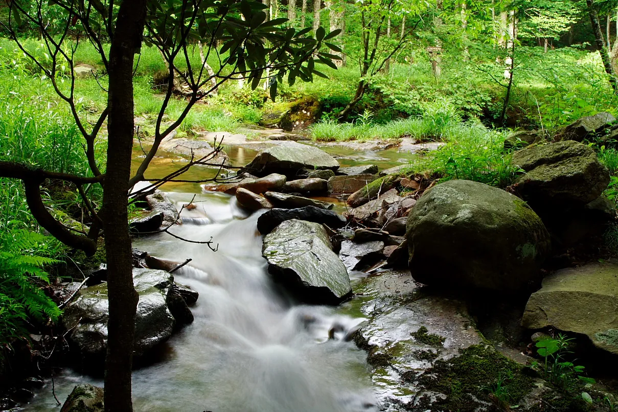 Stream — Photo from the United States