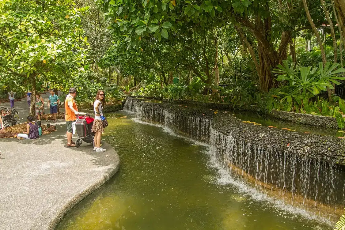 Water flows over a low stone ledge into a green pond in a lush garden.