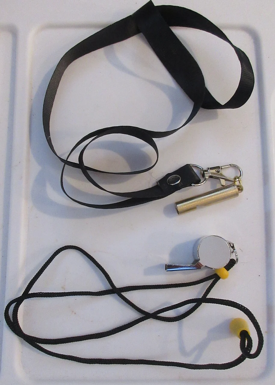 Two metal whistles lie beside their black straps.