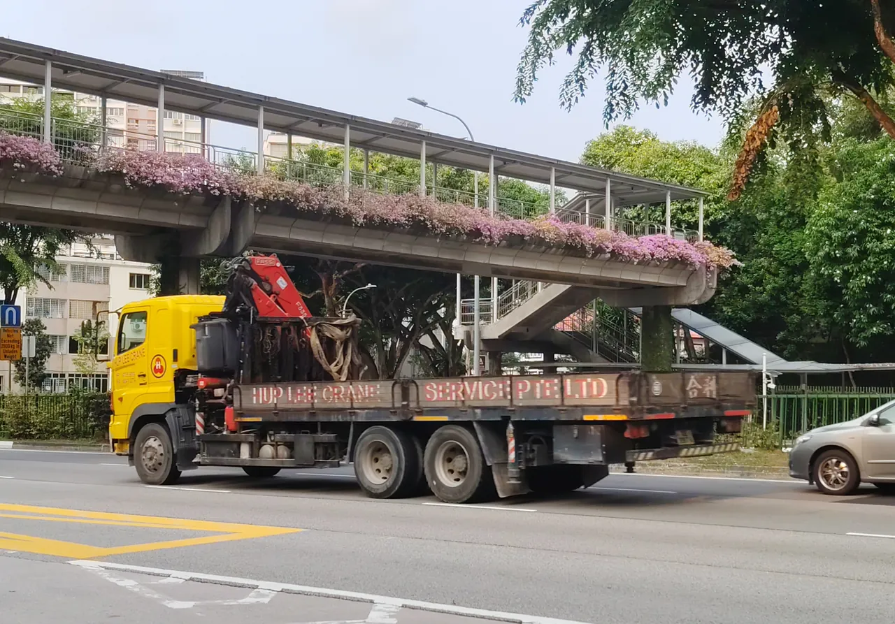 A yellow lorry has a red folded crane arm behind its cab and an open flatbed.
