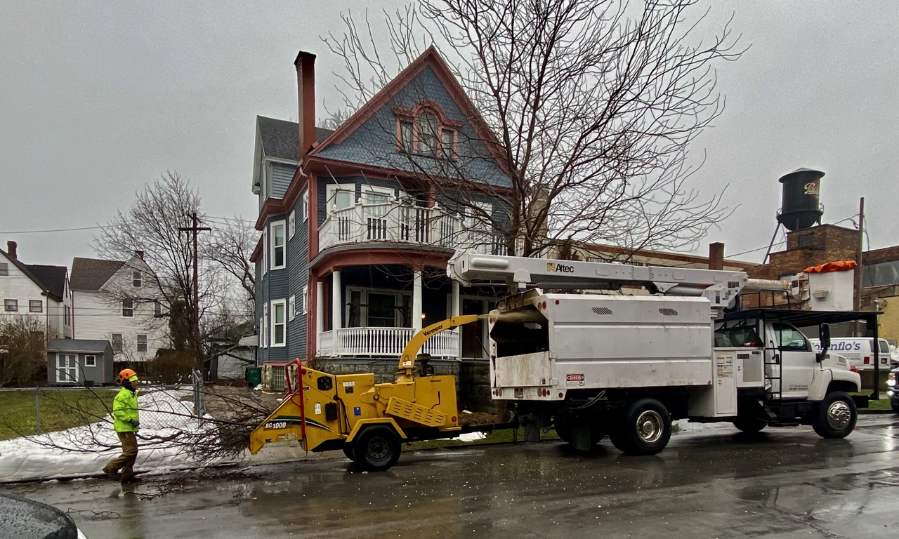 A yellow wood chipper is attached behind a white utility truck while a worker feeds branches.