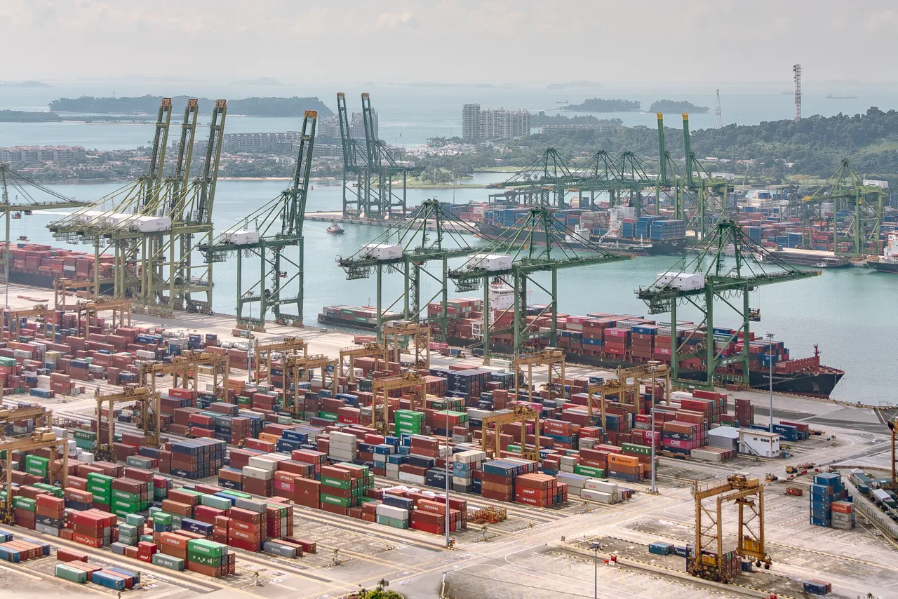 Rows of tall green quay cranes stand above stacks of colourful containers.