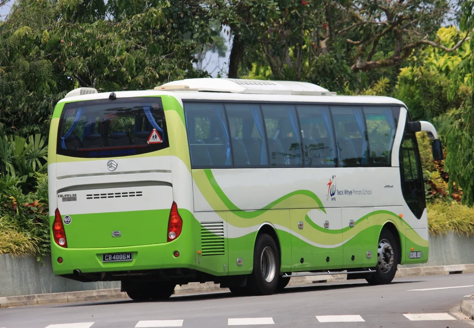 A white school bus has green curved stripes.