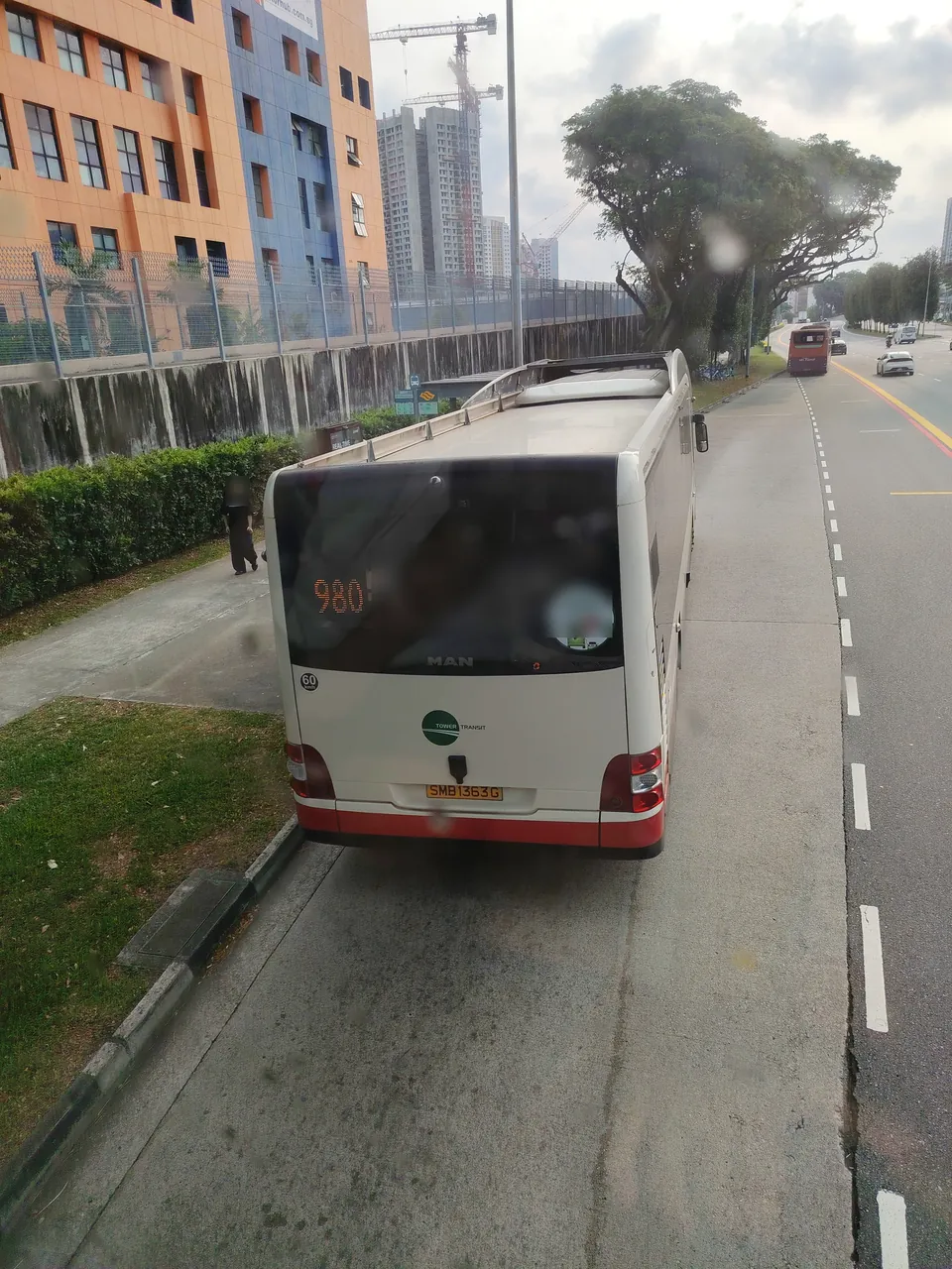 Single-decker bus — a white and red single-deck bus seen from behind, showing 980.