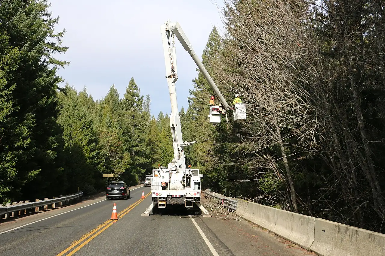 A white bucket truck lifts two workers beside roadside tree branches.