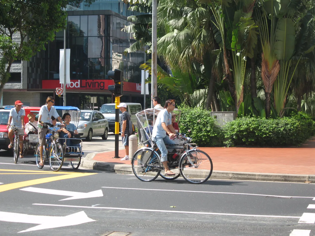 Trishaw riders pedal along the street with passengers in seats beside them.